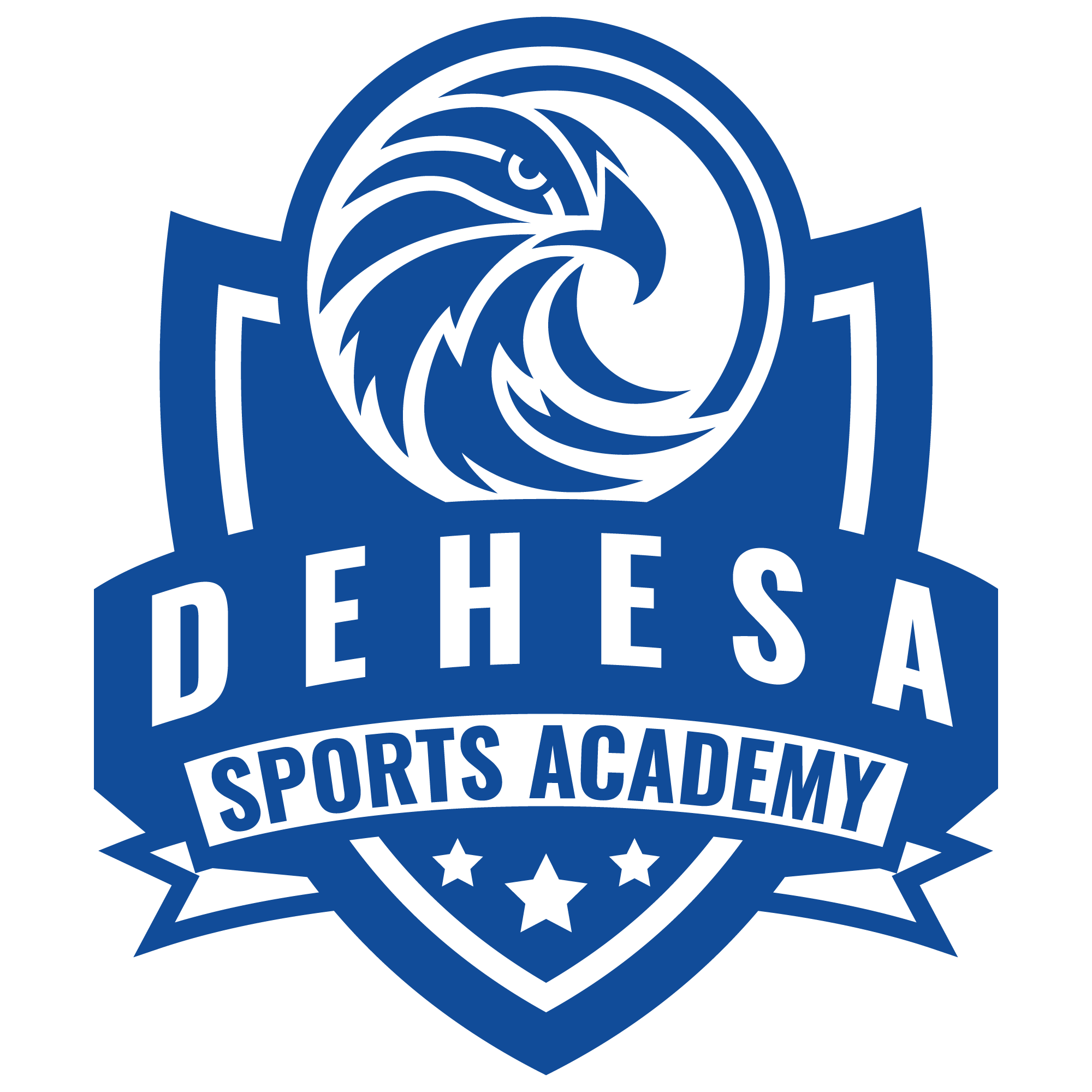 DSA logo final
